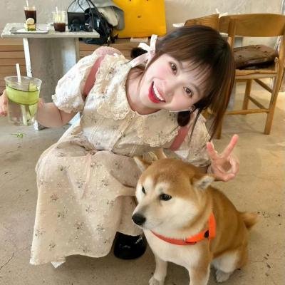 来电不善