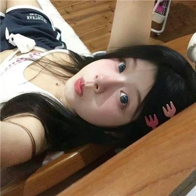 梦之森林